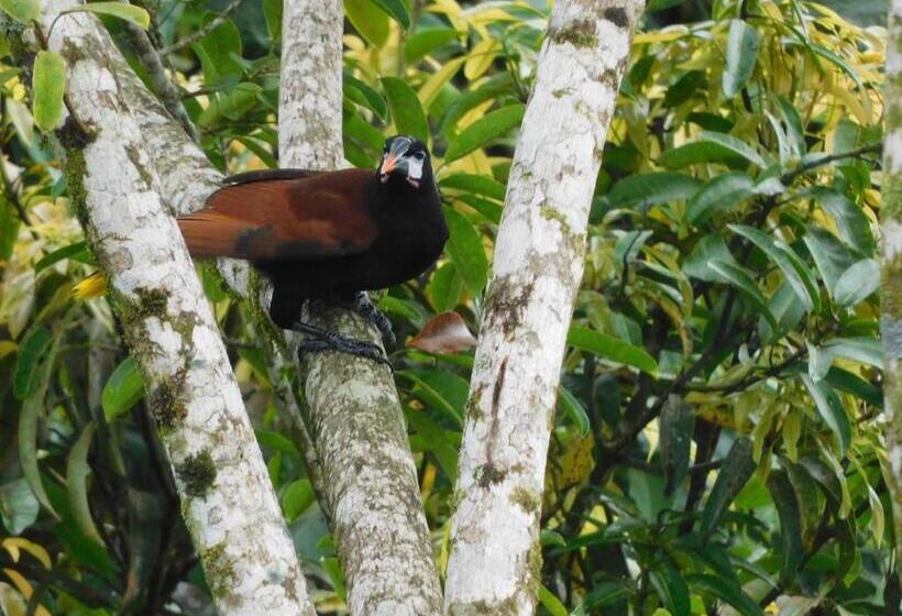 Bed and Breakfast Villas Santa Maria   Private Bay Lake Arenal