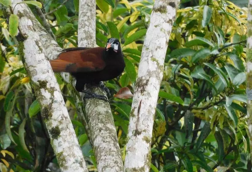 Aamiaismajoitus (B&B) Villas Santa Maria   Private Bay Lake Arenal