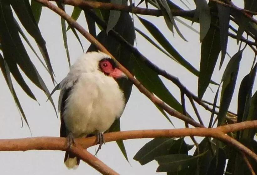 Aamiaismajoitus (B&B) Villas Santa Maria   Private Bay Lake Arenal