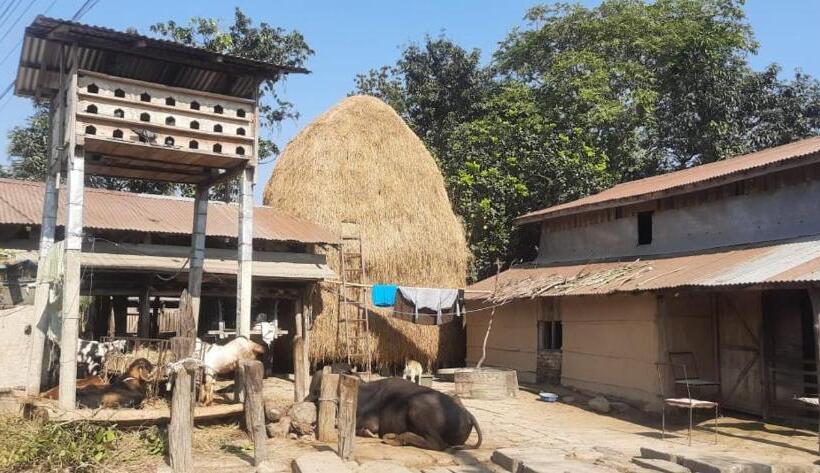 هتل Coffee Farmstay In Tamang,chepang Village Parewakot ,chitwan