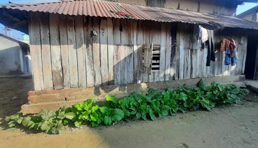 هتل Coffee Farmstay In Tamang,chepang Village Parewakot ,chitwan