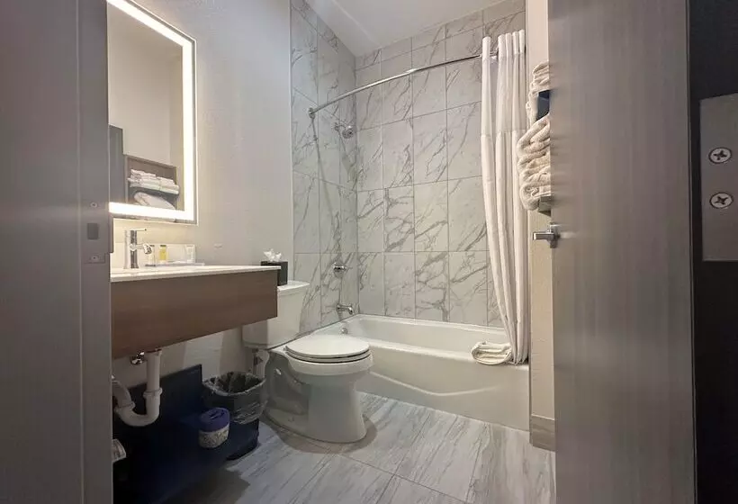 Microtel Inn & Suites By Wyndham Amarillo West