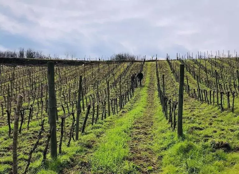 Aamiaismajoitus (B&B) La Casa Di Civita