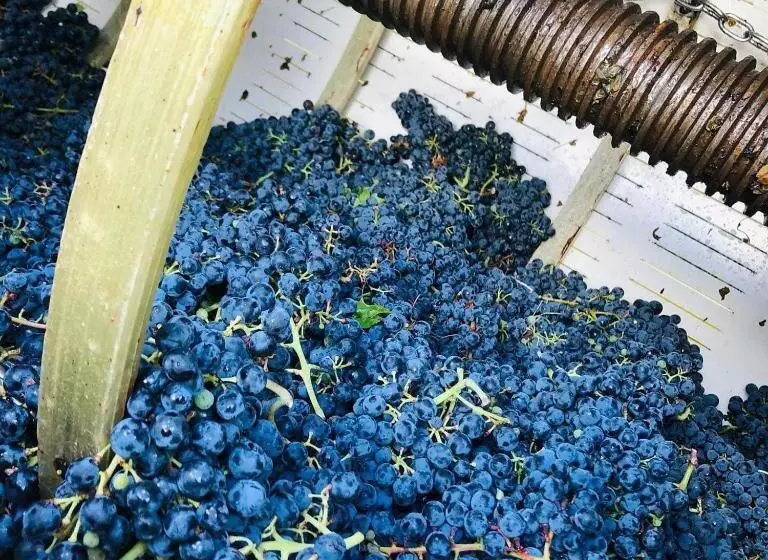 Aamiaismajoitus (B&B) La Casa Di Civita