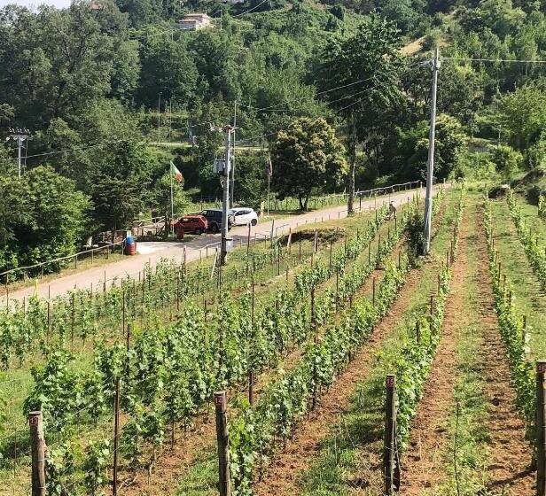 مبيت وإفطار La Casa Di Civita