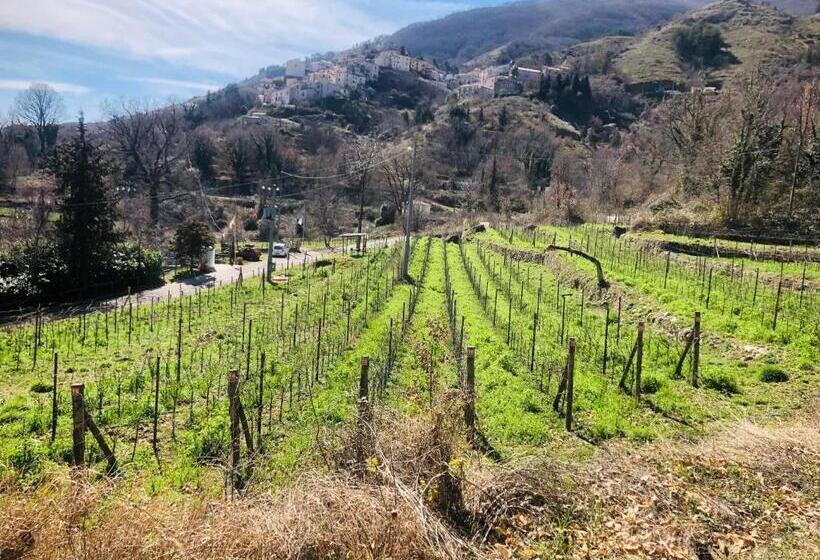 مبيت وإفطار La Casa Di Civita