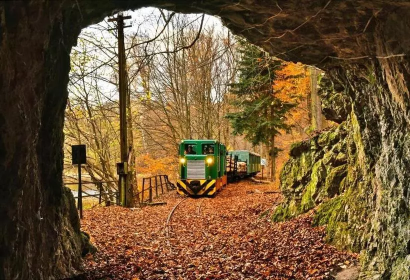 Aamiaismajoitus (B&B) Senyői Vendégház