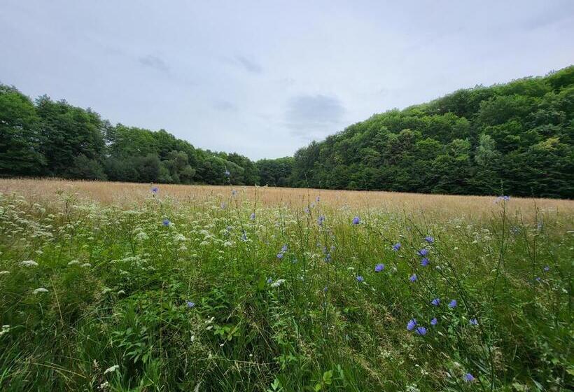 צימר Senyői Vendégház