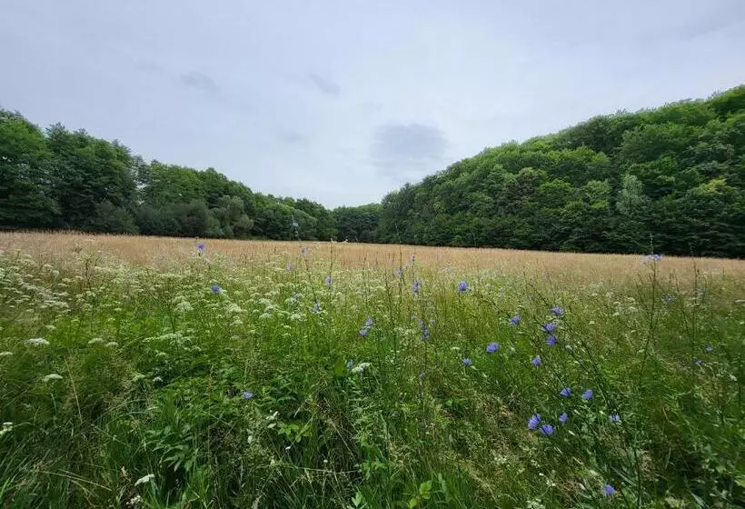 Aamiaismajoitus (B&B) Senyői Vendégház