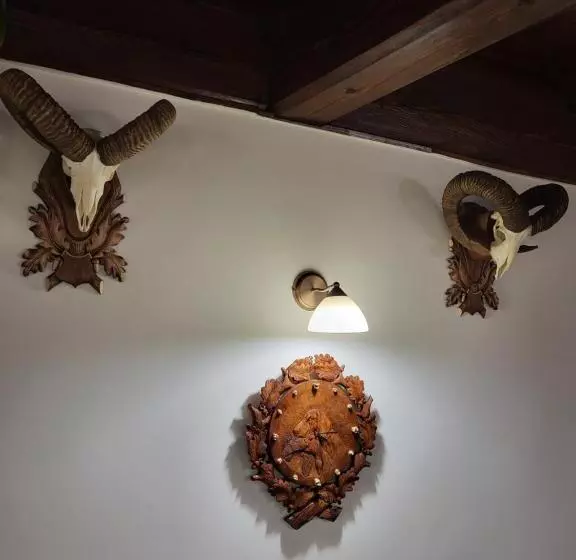 Aamiaismajoitus (B&B) Senyői Vendégház