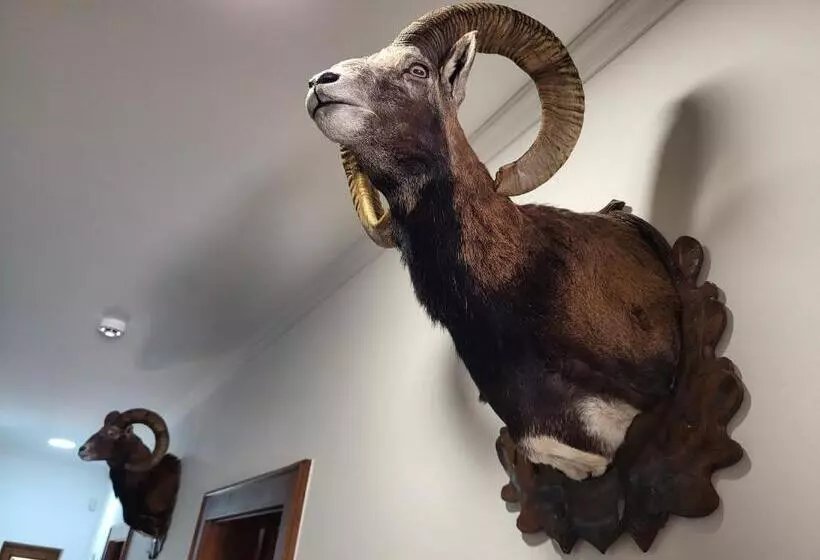 Aamiaismajoitus (B&B) Senyői Vendégház