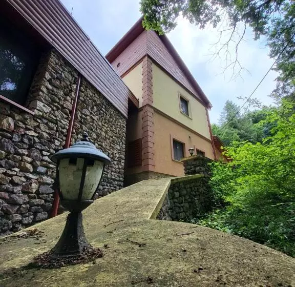 Aamiaismajoitus (B&B) Senyői Vendégház