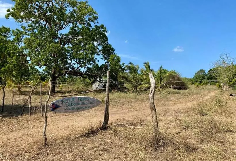 Hotelli Nila Point Cabana Cottage