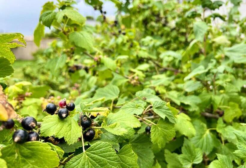 Pensjonat Rancho On Sevan Beach By Hv