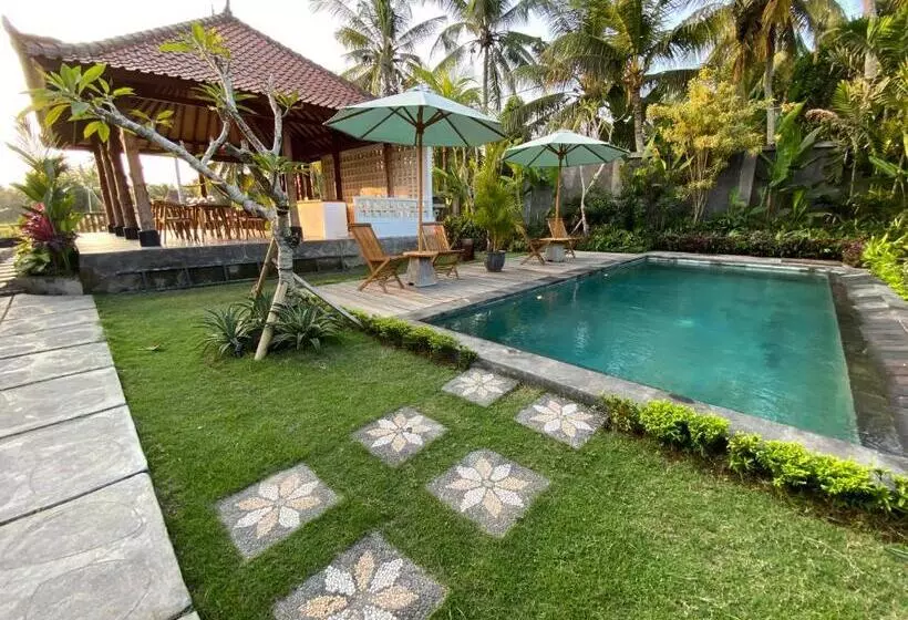 ベッドアンドブレックファースト Omah Tiga, Yeh Embang, Jembrana