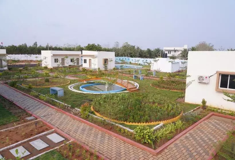 Dream Land Resort