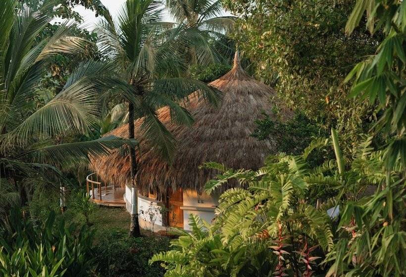 ホテル Tekanda Lodge