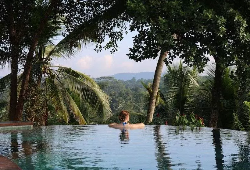 Hotelli Tekanda Lodge