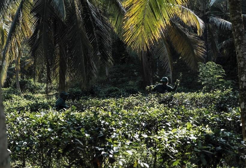 ホテル Tekanda Lodge