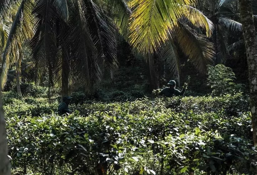 Hotelli Tekanda Lodge