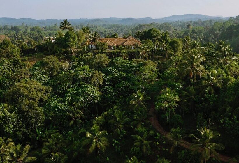 ホテル Tekanda Lodge