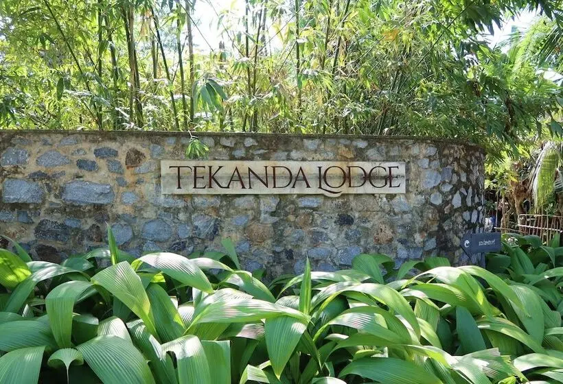 ホテル Tekanda Lodge