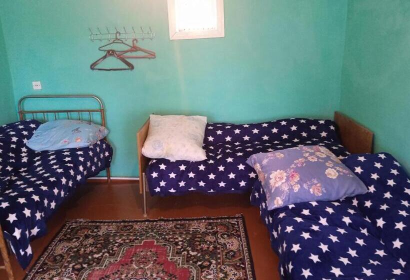 پانسیون Guest House Rovshen