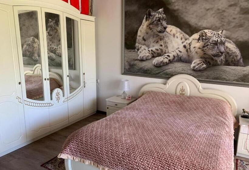 پانسیون Nomad Guest House