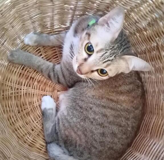 ベッドアンドブレックファースト Kol House