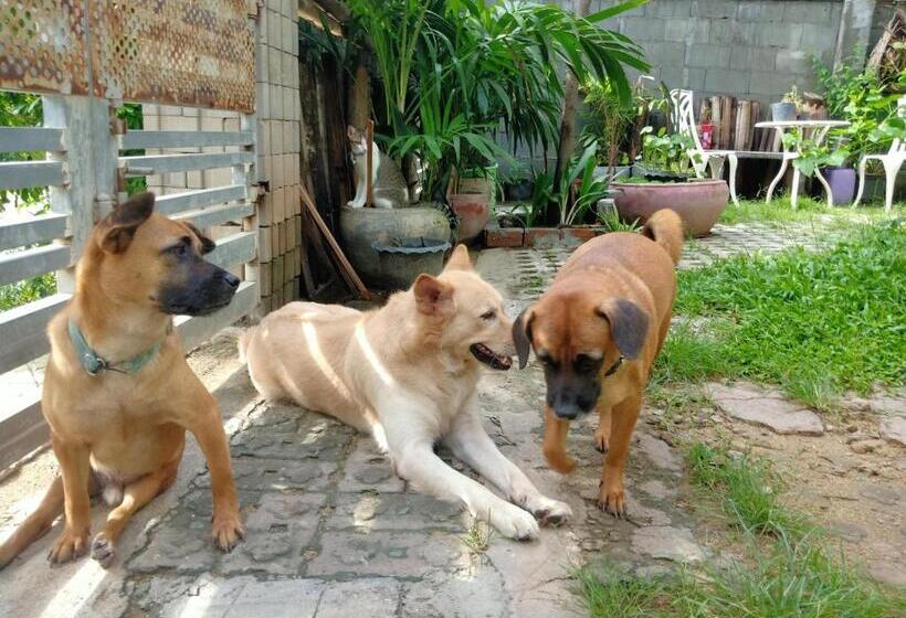 ベッドアンドブレックファースト Kol House