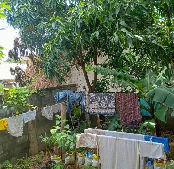 ベッドアンドブレックファースト Kol House