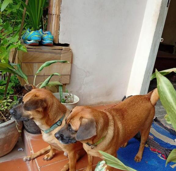 ベッドアンドブレックファースト Kol House