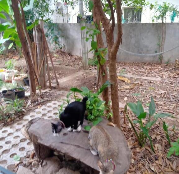 ベッドアンドブレックファースト Kol House