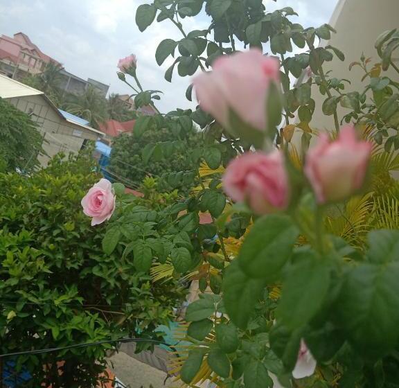 ベッドアンドブレックファースト Kol House