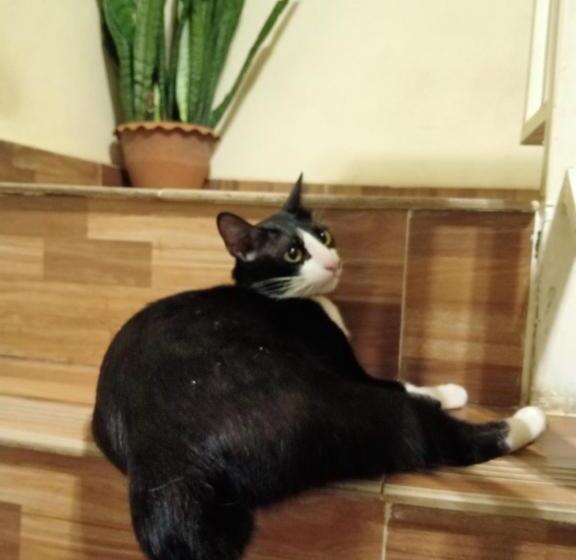 ベッドアンドブレックファースト Kol House