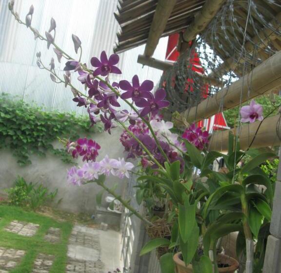 ベッドアンドブレックファースト Kol House