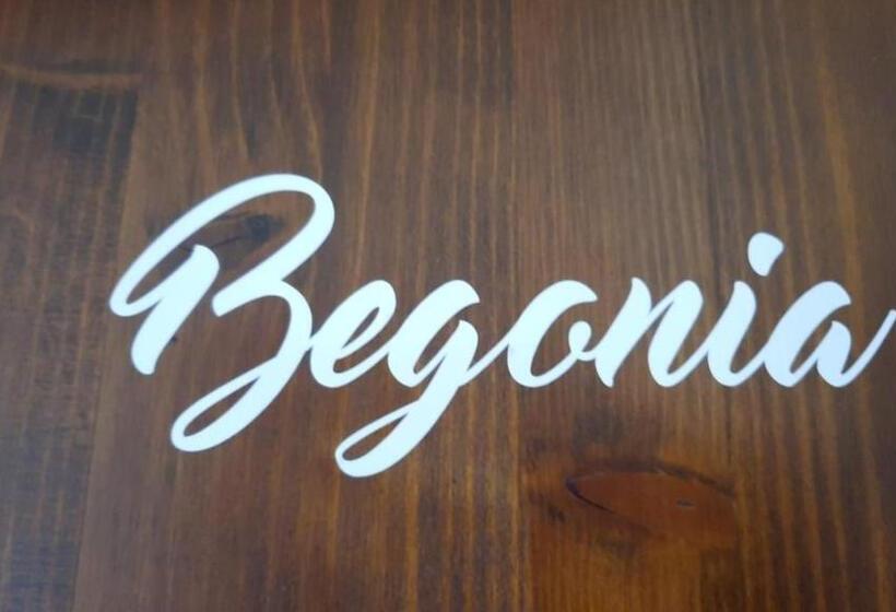 Bed and Breakfast Oasi Del Verde