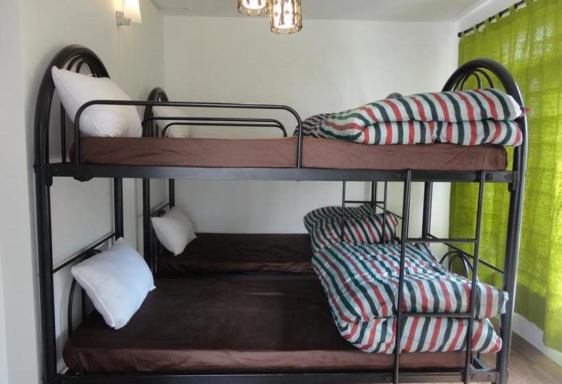 تختخواب و صبحانه Yado240