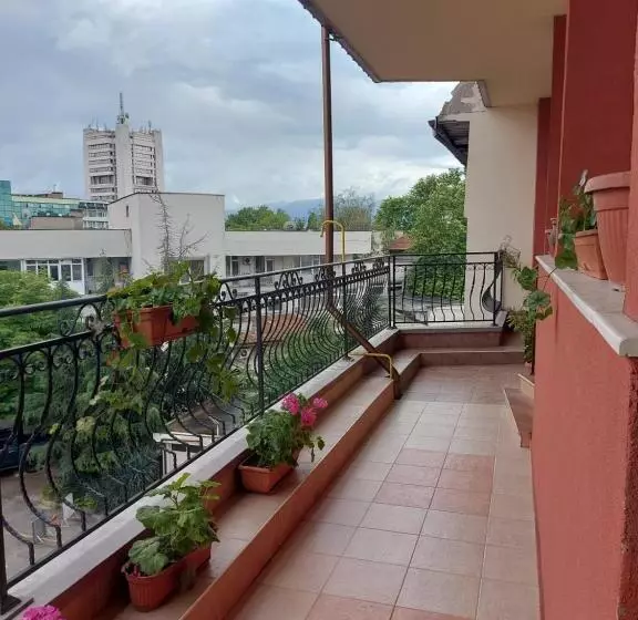 Hotel Elegant Complex