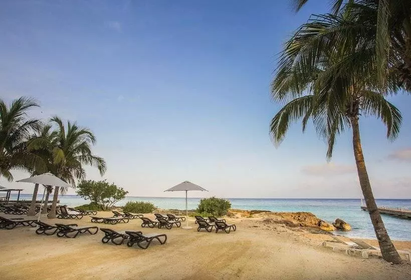 ホテル The Westin Cozumel