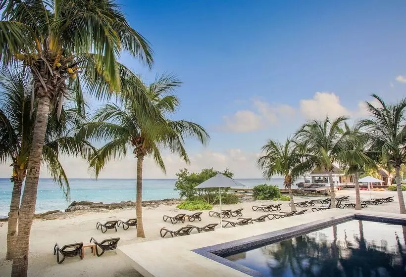 ホテル The Westin Cozumel
