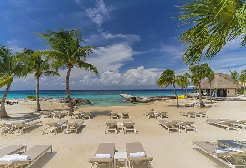 ホテル The Westin Cozumel