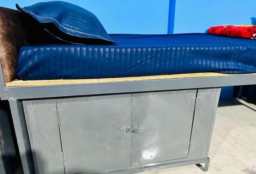 Alberg Fine Guest House & Dormitory