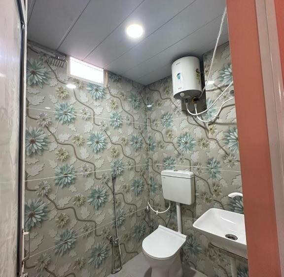 Alberg Fine Guest House & Dormitory