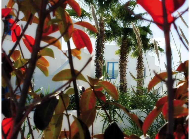 Le Case Bianche Di Rio Favara