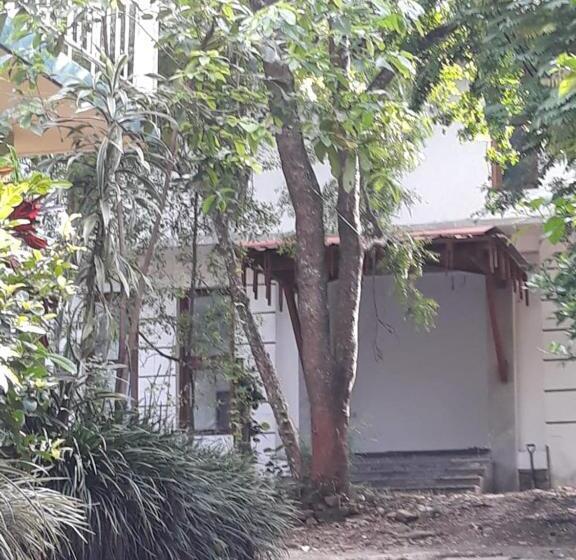 Pensione 619 Guest House