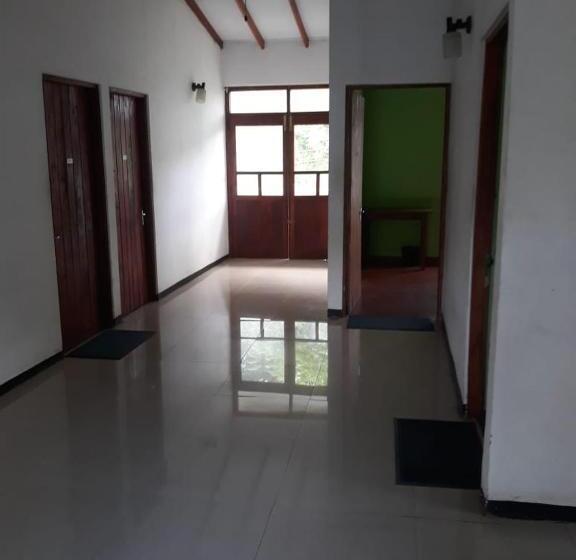 Pensione 619 Guest House