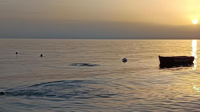 پانسیون Le Suite Angelo&alice Mini