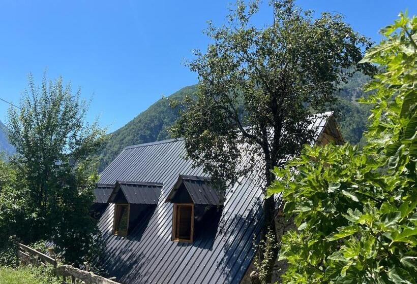 پانسیون Te Oli