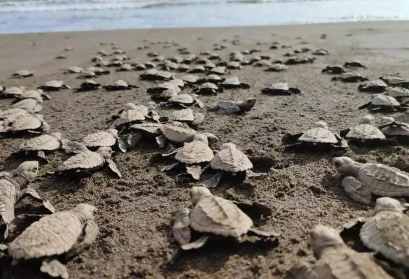 ユースホステル Mar Y Selva